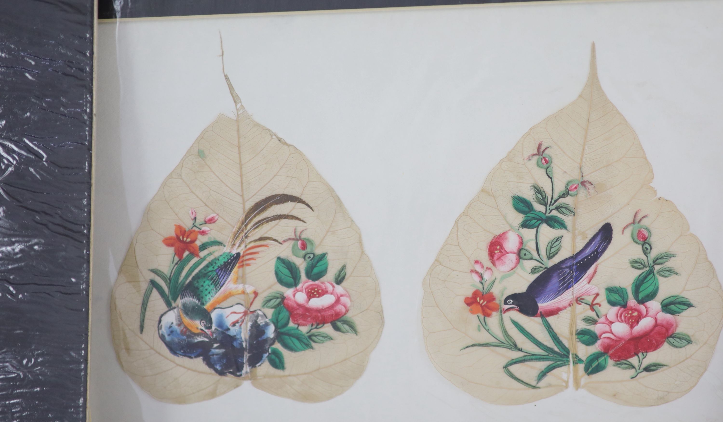 A collection of seventeen Chinese paintings on leaves, late 19th century